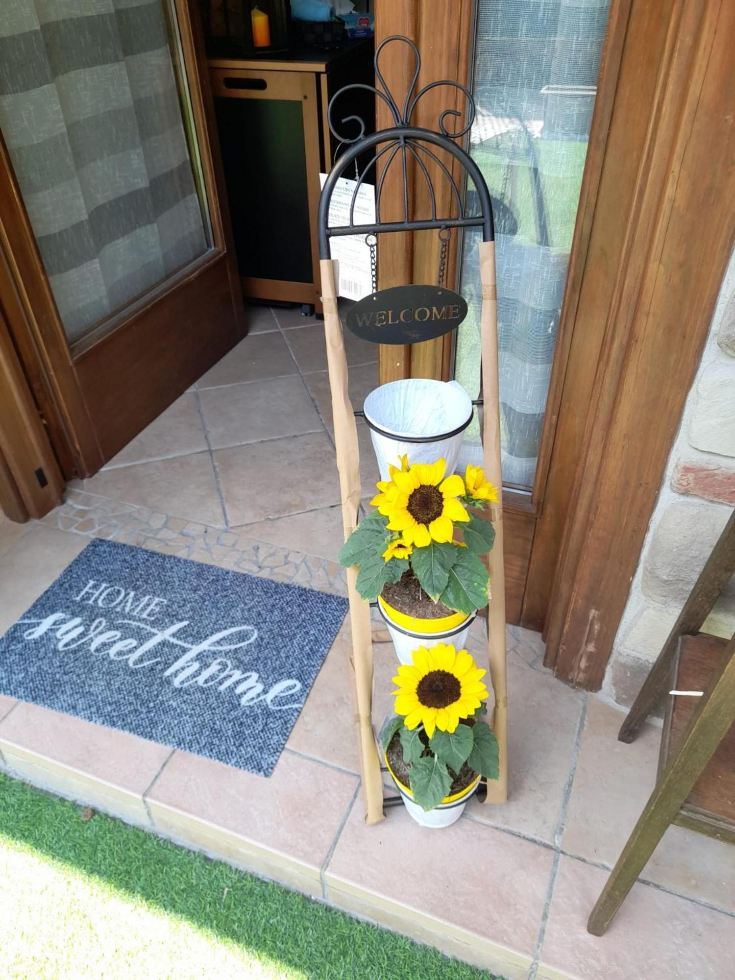 La Taverna Da Irene Roe ภายนอก รูปภาพ